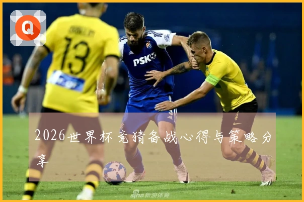 2026世界杯竞猜备战心得与策略分享