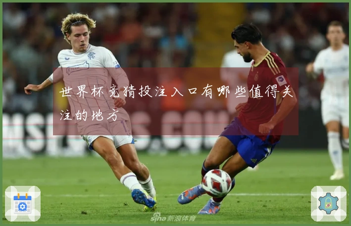 世界杯竞猜投注入口有哪些值得关注的地方